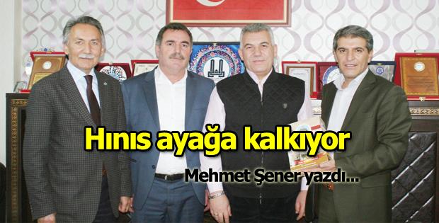 mehmet-sener-hinis